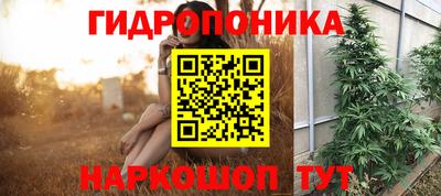 бошки Лесосибирск