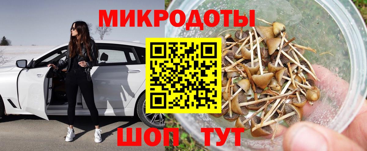 Губаха  Псилоцибиновые грибы GOLDEN TEACHER  как найти   Вход с VPN 